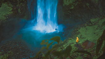 (一剑一念下一句)一念一剑,铸就铁血雄心,勇往直前,无惧苦辣风浪 (一剑一念下一句)一念一剑,铸就铁血雄心,勇往直前,无惧苦辣风浪