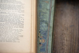 (上海市曙光学者申报指南)上海曙光学者全名单:探寻上海学术界新生力量 (上海市曙光学者申报指南)上海曙光学者全名单:探寻上海学术界新生力量