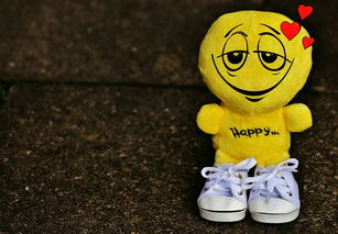 (微信小程序萌宠会馆)微信小程序萌宠封神：打造最可爱的萌物世界