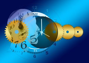 (生存法则有哪些)生存法则是什么?如何在现代社会中应用这些法则来生存? (生存法则有哪些)生存法则是什么?如何在现代社会中应用这些法则来生存?