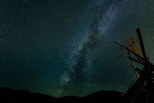 (伊甸园的失败)伊甸园是被摧毁了吗?人类的贪婪与破坏对自然的影响 (伊甸园的失败)伊甸园是被摧毁了吗?人类的贪婪与破坏对自然的影响