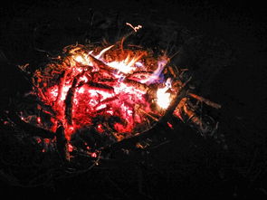 (暗黑联盟手游官网)探秘暗黑大联盟:笔趣阁中的神秘世界 (暗黑联盟手游官网)探秘暗黑大联盟:笔趣阁中的神秘世界