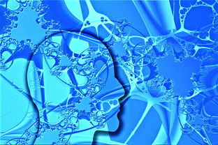 (幻想生活link流程攻略)如何找到幻想生活link完美纽扣？探寻最佳装饰配饰的秘密！