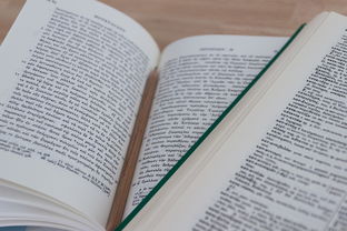 (遇见美好作文中考满分作文)初中生优秀作文:遇见美好,绽放600字力量 (遇见美好作文中考满分作文)初中生优秀作文:遇见美好,绽放600字力量