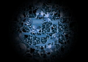 (仙境传说新版)仙境传说新时代:探索诞生职业的神秘世界 (仙境传说新版)仙境传说新时代:探索诞生职业的神秘世界