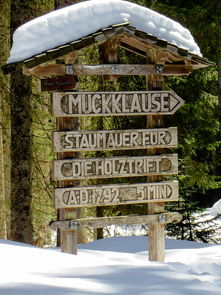 (理想的森林城市)探寻理想森林公司: 为您打造绿色未来