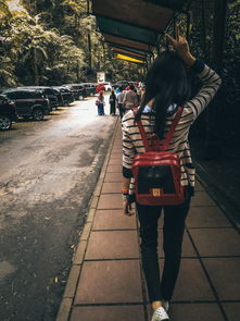 (暗夜破晓服饰)探秘暗夜迷宫:揭秘破晓之路走法详解 (暗夜破晓服饰)探秘暗夜迷宫:揭秘破晓之路走法详解