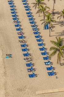 (大征服者罗马最新内购破解版 支付宝)大征服者罗马下载支付宝登陆破解技巧分享 (大征服者罗马最新内购破解版 支付宝)大征服者罗马下载支付宝登陆破解技巧分享