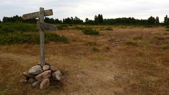 (瑞典农场价格)瑞典农场上的四个女儿:家庭生活、农场经营和冒险故事 (瑞典农场价格)瑞典农场上的四个女儿:家庭生活、农场经营和冒险故事