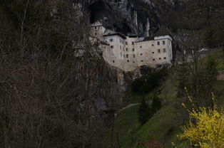 (血滴子是干啥用的 视频)一窥奇特杀器:详解血滴子的历史背景、制作工艺与实战应用 (血滴子是干啥用的 视频)一窥奇特杀器:详解血滴子的历史背景、制作工艺与实战应用