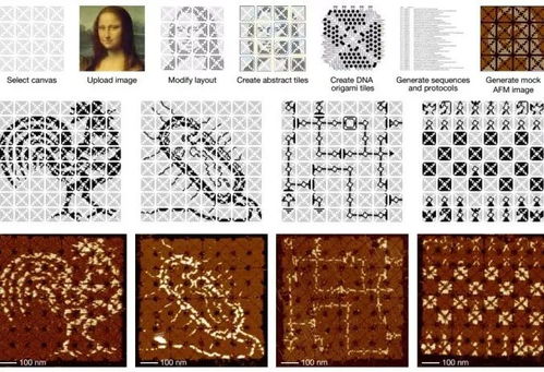 stitch刺绣模拟0.1折下载-stitch刺绣模拟免费安装下载v.6.55