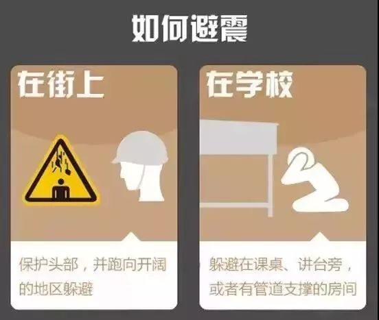 逃生指南内置菜单下载-逃生指南2024最新版本下载v.1.77