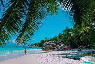 莉拉的世界海滩度假下载官方版-莉拉的世界海滩度假iOS下载v.3.76