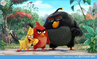 我的鸟制造1.45版本官方版下载-我的鸟制造1.45版本安卓版v.8.45