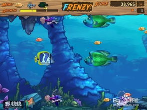 大鱼吞噬之路免广告中文最新版下载-大鱼吞噬之路无广告版安卓最新版下载v.8.78 大鱼吞噬之路免广告中文最新版下载-大鱼吞噬之路无广告版安卓最新版下载v.8.78