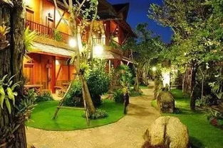 探寻自然之美：原始森林主题酒店体验