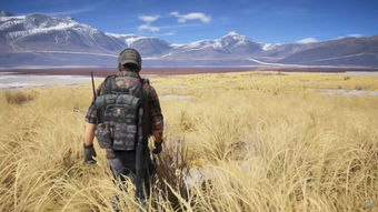 挑战荒野极限，揭秘荒野生存21天不打马赛原版：如何依赖自然资源度过危机