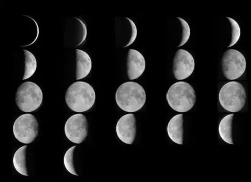 探索十二刻度的月计时手机版:精准记录月相变化与节气的智能工具 探索十二刻度的月计时手机版:精准记录月相变化与节气的智能工具