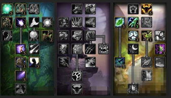 探索魔兽世界正式服德鲁伊的神奇能力和技能 探索魔兽世界正式服德鲁伊的神奇能力和技能