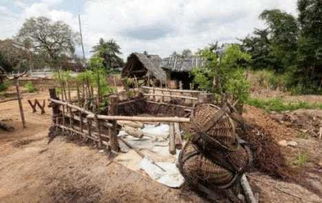 一起来探索户外探宝吧，发现自然中的宝藏，感受大自然的魅力和神秘。