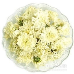 青箱子的功效与作用：降火解毒，清热解毒，清肝明目，主治各种感冒症状