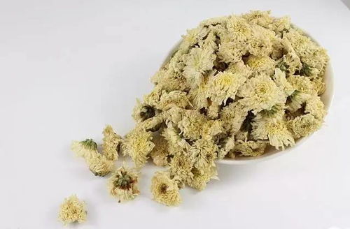 青箱子的功效与作用：降火解毒，清热解毒，清肝明目，主治各种感冒症状