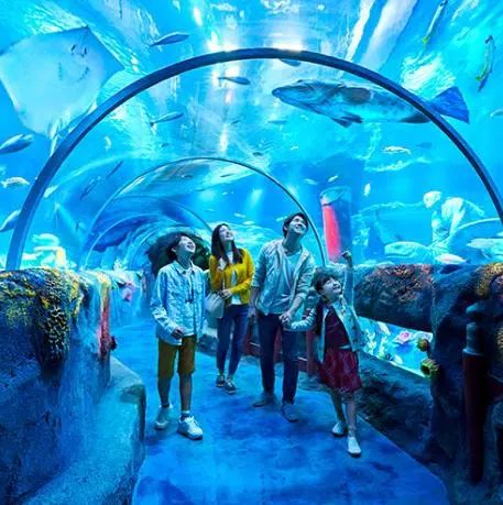 梦幻购物天堂5：口碑摆法，精致品质引领时尚潮流