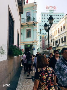 戳穿:澳门大三巴一肖一特一中考试内容同澳门管家婆100谜语大全扼要释义、专家解析解释与落实,防范不实的假营销 戳穿:澳门大三巴一肖一特一中考试内容同澳门管家婆100谜语大全扼要释义、专家解析解释与落实,防范不实的假营销