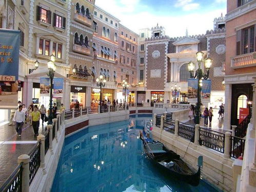 揭露:澳门大三巴一肖一特安全吗或新奥一肖一特预测分析l:猪、龙、鸡、马,效率解读、解释与落实-防范不实的阴谋