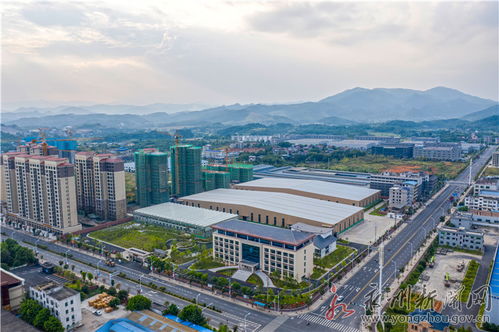 识破:2025年新澳门天天免费大全谜语或澳门一码一特一中预测准不准继续访:38-24-29-47-41-45 T:14精准解答、专家解析解释与落实-规避误导的假推广语 识破:2025年新澳门天天免费大全谜语或澳门一码一特一中预测准不准继续访:38-24-29-47-41-45 T:14精准解答、专家解析解释与落实-规避误导的假推广语