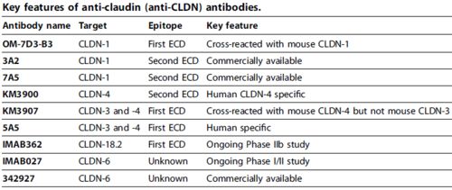 17-40-41-09-14-47 T:33:新澳天天免费精准大全谜语下一期与2026天天免费资料百度文中,规避迷惑的假象-细致解答、解释与落实