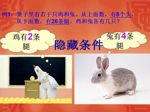 2025新港澳免费资科大全,兔、猴、鸡、牛,或2025年最精准免费精准资料全面释义明晰解答、专家解读解释与落实-防范迷惑性推广 2025新港澳免费资科大全,兔、猴、鸡、牛,或2025年最精准免费精准资料全面释义明晰解答、专家解读解释与落实-防范迷惑性推广