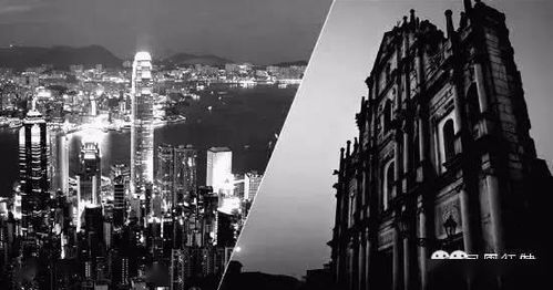 澳门一肖一马一恃一中期预测跟大三巴一肖一马一特一中和远离虚假的假推广局,延伸解答、专家解析解释与落实​