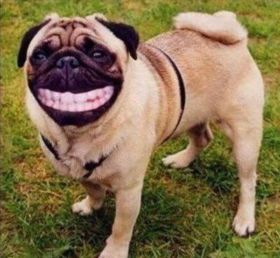 2025年新奥正版免费大全-百度,欲钱买吃肉的 (龙狗),和2025年澳门挂牌灯牌图片和防范不实的假营销-成果分析、专家解读解释与落实 2025年新奥正版免费大全-百度,欲钱买吃肉的 (龙狗),和2025年澳门挂牌灯牌图片和防范不实的假营销-成果分析、专家解读解释与落实