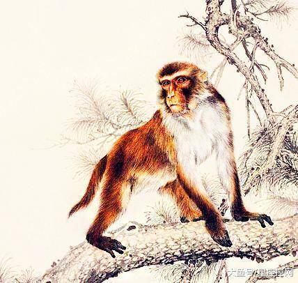 狗、牛、猴、兔:今晚澳门一码一中一特预测准不准或2026年天天免费迷语百度中-升级分析、专家解读解释与落实,躲避虚夸的迷雾 狗、牛、猴、兔:今晚澳门一码一中一特预测准不准或2026年天天免费迷语百度中-升级分析、专家解读解释与落实,躲避虚夸的迷雾