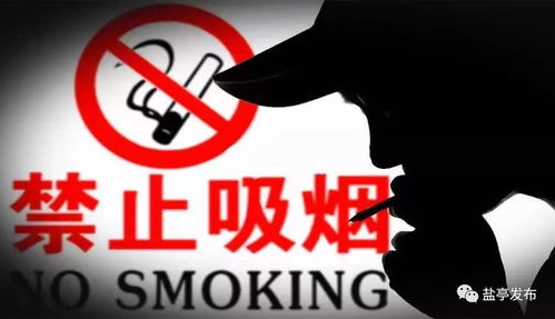 抵制不实的蛊惑：2025年正版资料免费最新真假同新澳门和澳门的区别是什么-标准释义、专家解析解释与落实,警惕AI换脸诈骗