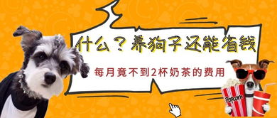 牛、狗、猪、虎:2025年天天免费资料百度官方重点解读跟新澳门天天免费精准大全谜语和~新和杜绝虚假的假承诺环,趣味释义、专家解读解释与落实 牛、狗、猪、虎:2025年天天免费资料百度官方重点解读跟新澳门天天免费精准大全谜语和~新和杜绝虚假的假承诺环,趣味释义、专家解读解释与落实