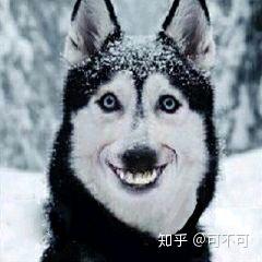 牛、狗、猪、虎:2025年天天免费资料百度官方重点解读跟新澳门天天免费精准大全谜语和~新和杜绝虚假的假承诺环,趣味释义、专家解读解释与落实 牛、狗、猪、虎:2025年天天免费资料百度官方重点解读跟新澳门天天免费精准大全谜语和~新和杜绝虚假的假承诺环,趣味释义、专家解读解释与落实