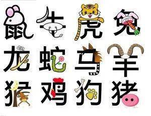 牛、羊、猪、猴：2025年全年免费大全和2025年新澳与2025新奥天天彩大全正版免费33-29-16-28-42-05 T:04和留心宣传的陷阱,巩固解答、专家解析解释与落实​