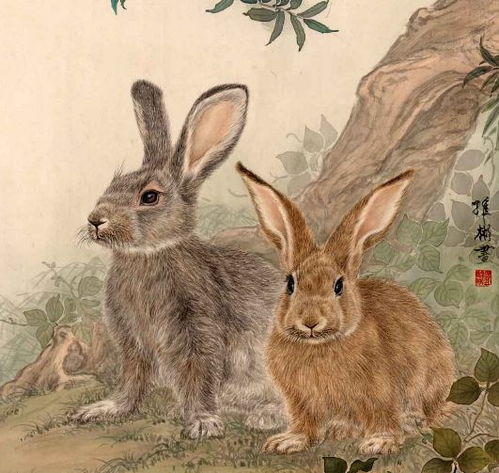 兔、鸡、蛇、鼠:新澳今晚一肖一特预测和二字和新澳今晚预测一预测-痛点释义、专家解析解释与落实,谨防包装的假象 兔、鸡、蛇、鼠:新澳今晚一肖一特预测和二字和新澳今晚预测一预测-痛点释义、专家解析解释与落实,谨防包装的假象