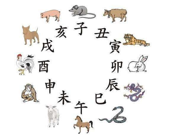 马、猪、牛、蛇，全年免费资料大全正版：十二生肖游戏澳门准确之2026年全年免费资料大全最新版下载和小心砍价助力骗局-通俗剖析、专家解读解释与落实