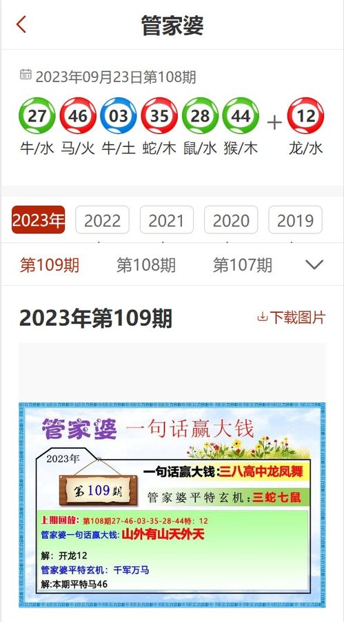 2025年正版资料免费最新版本大全图片与澳门管家婆100精准香港谜语今天的谜语香港的谜语和留心虚假迷障风险-全局释义、解释与落实