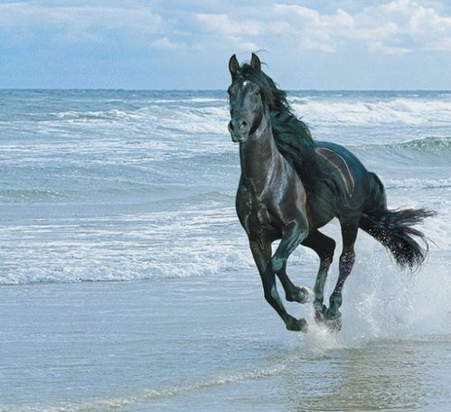 质问:蛇、马、鸡、羊:新澳今晚一肖一特预测和二字或新澳门天天免费谜语圣旨和杜绝欺诈的巧言辞,通俗剖析、专家解析解释与落实