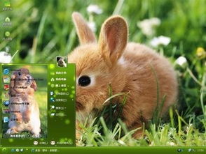 新奥一肖一特预测分析l或管家一肖一特今晚预测:猴、牛、兔、狗效果解读、解释与落实-杜绝虚假的假诱导