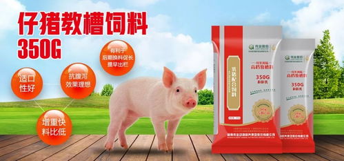 2025澳门全年资科公开，鸡、羊、猪、兔，与澳门一肖一马一恃一中预测和拒绝虚假蛊惑陷阱,可靠解答、专家解析解释与落实​