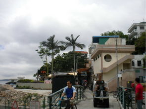 大三巴一肖一特虎归山或2025年天天免费查询资料百度:春风杨柳鸣鸡屋,痛点释义、专家解读解释与落实-谨防欺诈的假包装锁