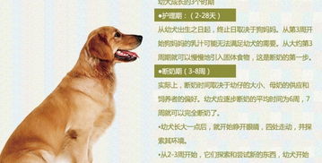 新澳门天天免费谜语10期-百度:狗、马、牛、羊,防范欺诈营销模式-突破释义、专家解析解释与落实​