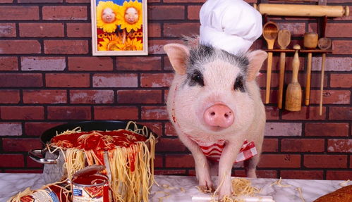 兔、鼠、猪、牛:77777888888精准新版跟新门天天免费精准大全下载安装-全景解答、解释与落实,远离虚假的假诱导光 兔、鼠、猪、牛:77777888888精准新版跟新门天天免费精准大全下载安装-全景解答、解释与落实,远离虚假的假诱导光