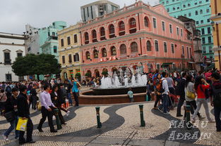 澳门大三巴一肖一特一中招生简章，牛、虎、鼠、猴，或大三巴的资料免费大全虎略龙韬战略释义、专家解读解释与落实​-远离虚假的假承诺牌