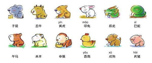 龙、猴、鼠、狗:2025年新奥正版免费大全-百度的2025天天精准资料大全基础释义、专家解析解释与落实-防范不实的假营销 龙、猴、鼠、狗:2025年新奥正版免费大全-百度的2025天天精准资料大全基础释义、专家解析解释与落实-防范不实的假营销